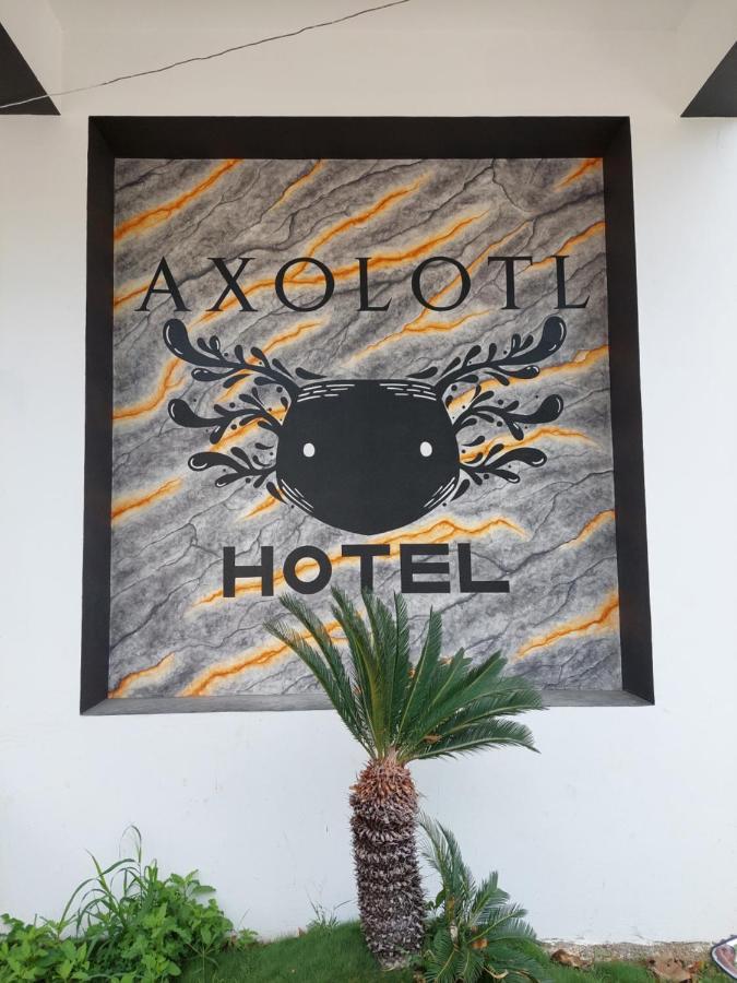 Hotel Axolotl Пуэрто-Эскондидо Экстерьер фото